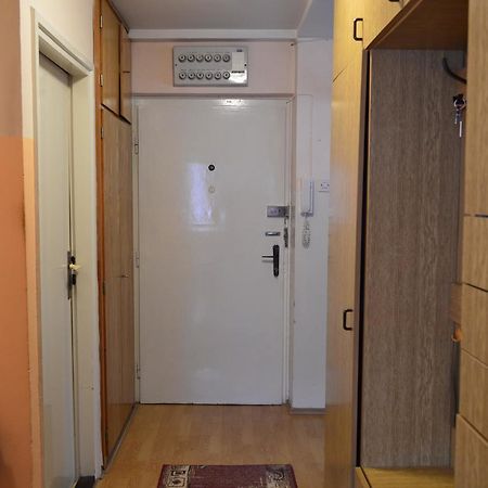 Apartman Nikolic Bor Ngoại thất bức ảnh