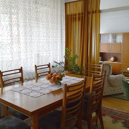Apartman Nikolic Bor Ngoại thất bức ảnh