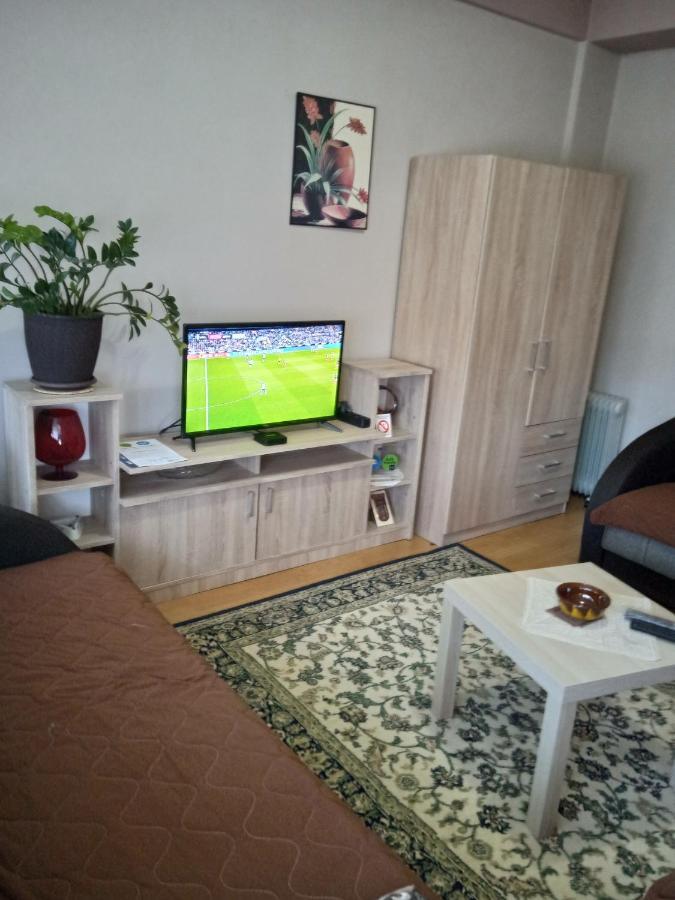 Apartman Nikolic Bor Ngoại thất bức ảnh