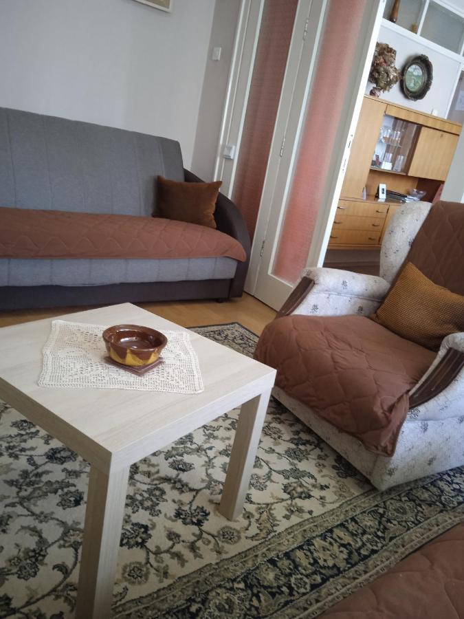 Apartman Nikolic Bor Ngoại thất bức ảnh