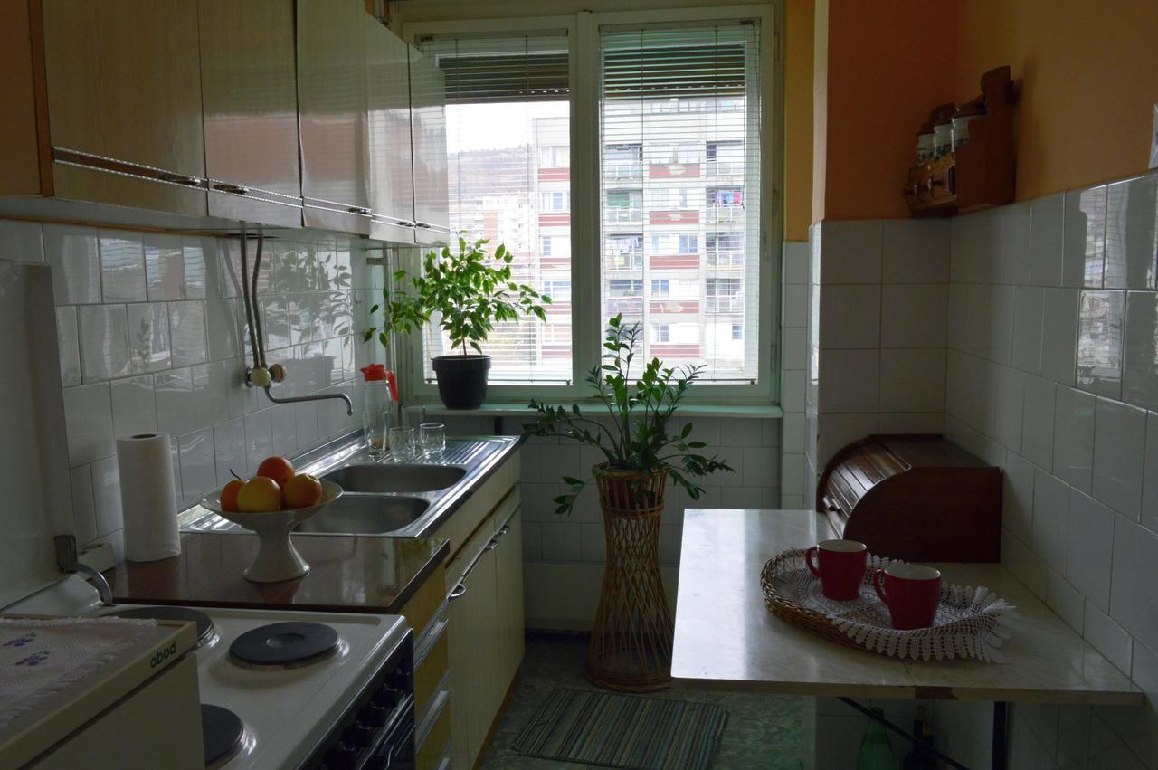 Apartman Nikolic Bor Ngoại thất bức ảnh